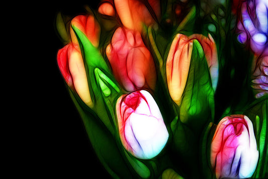 Abstract Pink Tulips Digital Image Download