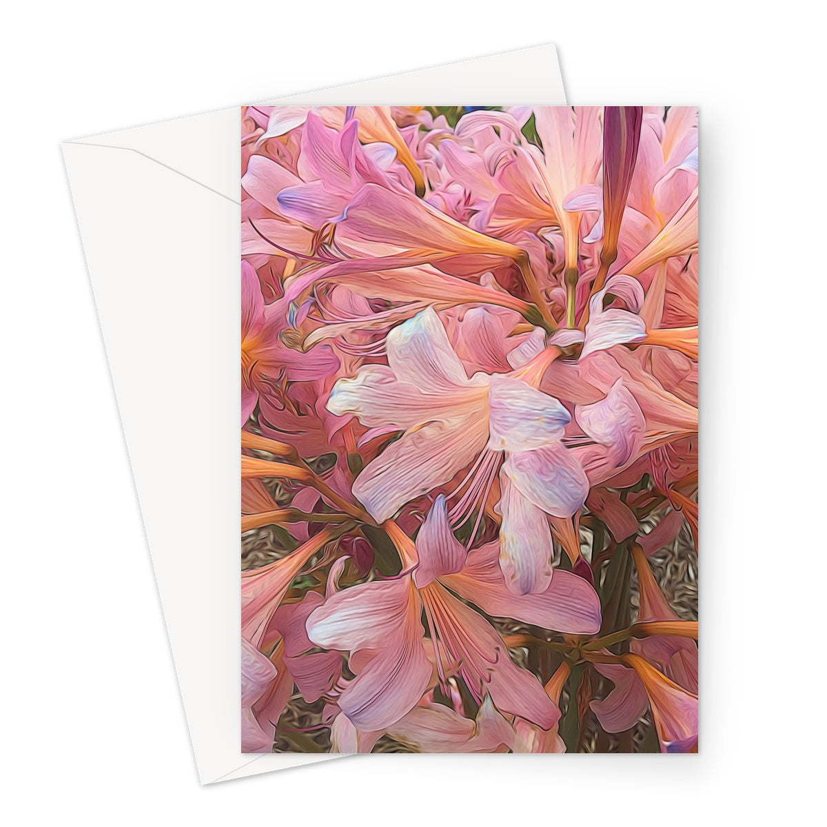 Pink Amaryllis Greeting Card