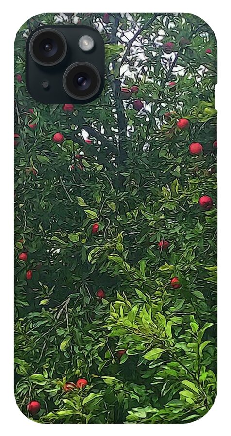Apple Tree Close Up - Phone Case