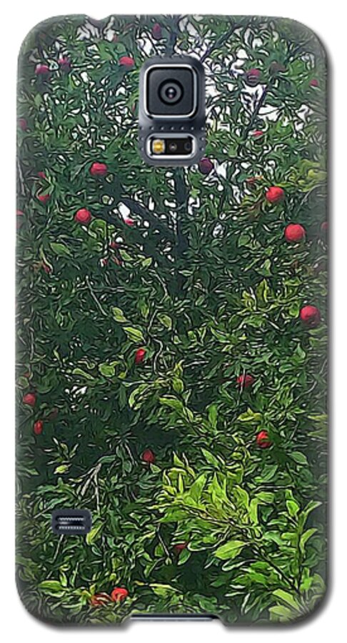 Apple Tree Close Up - Phone Case