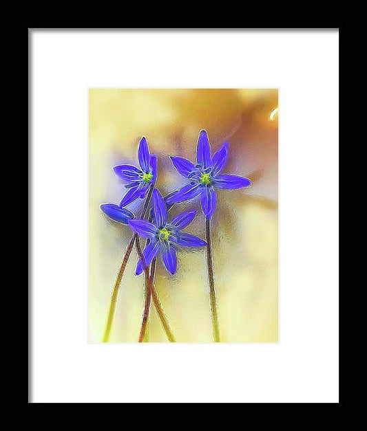 April Flowers - Framed Print