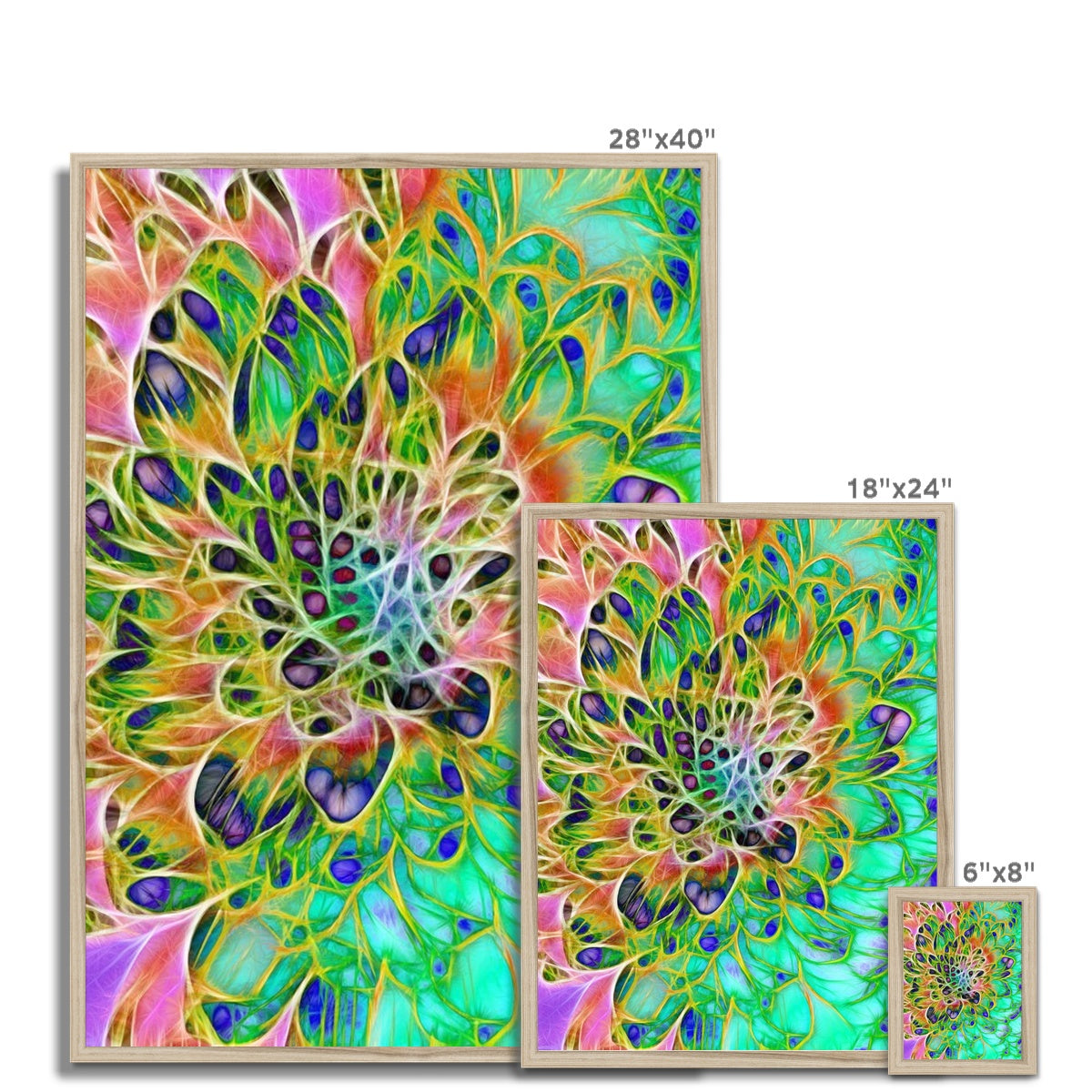 Abstract Peacock Chrysanthemum Framed Print