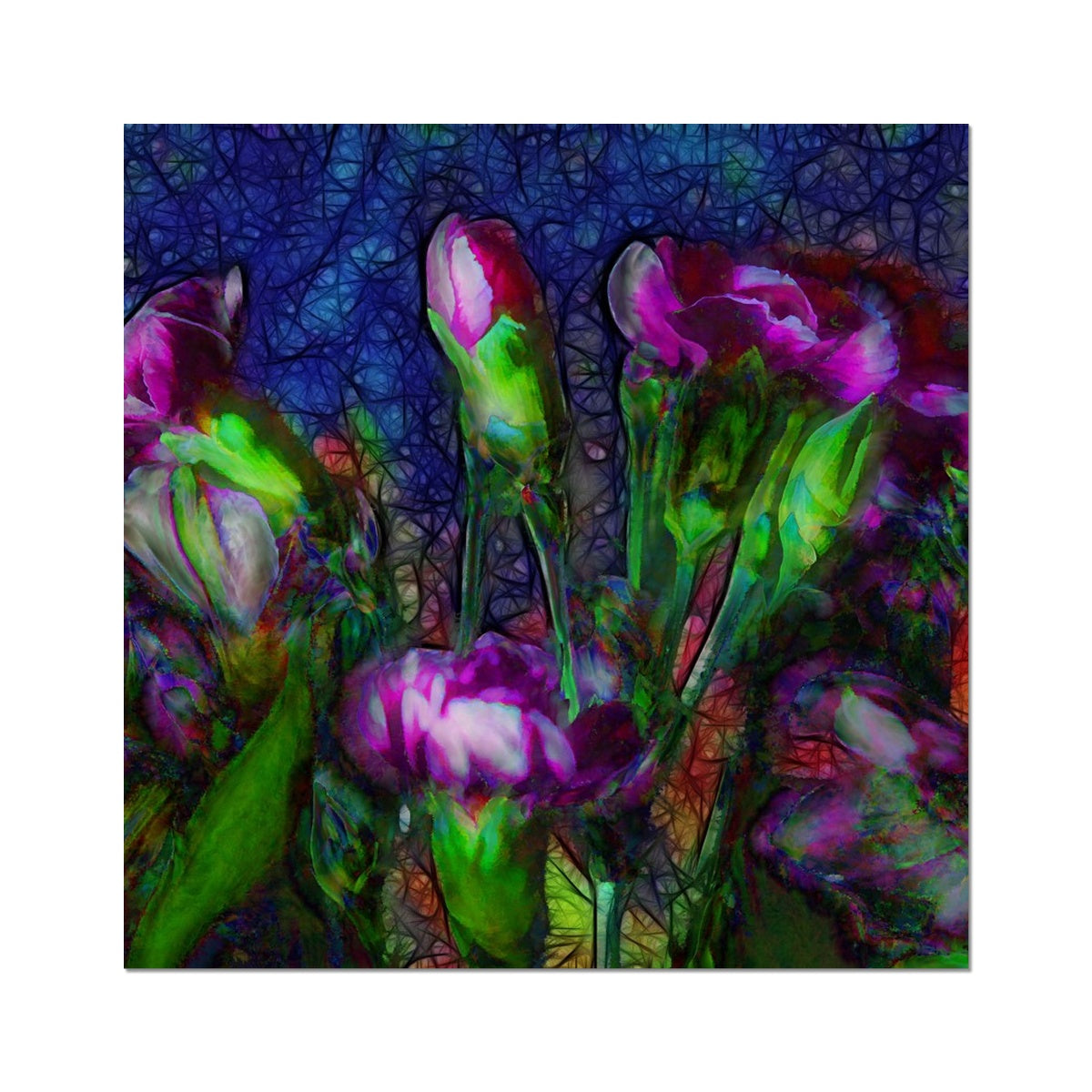 Abstract Pink Carnations Hahnemühle Photo Rag Print
