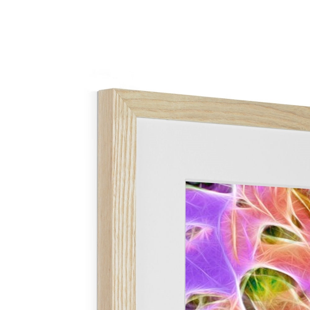 Abstract Peacock Chrysanthemum Framed & Mounted Print