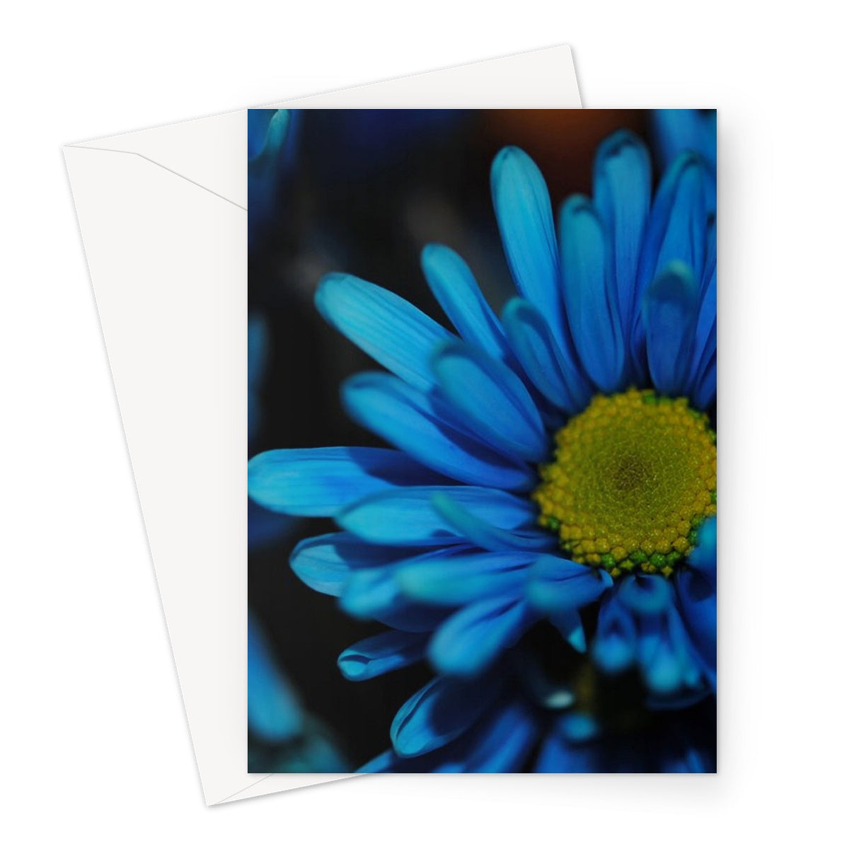Blue Daisy Greeting Card