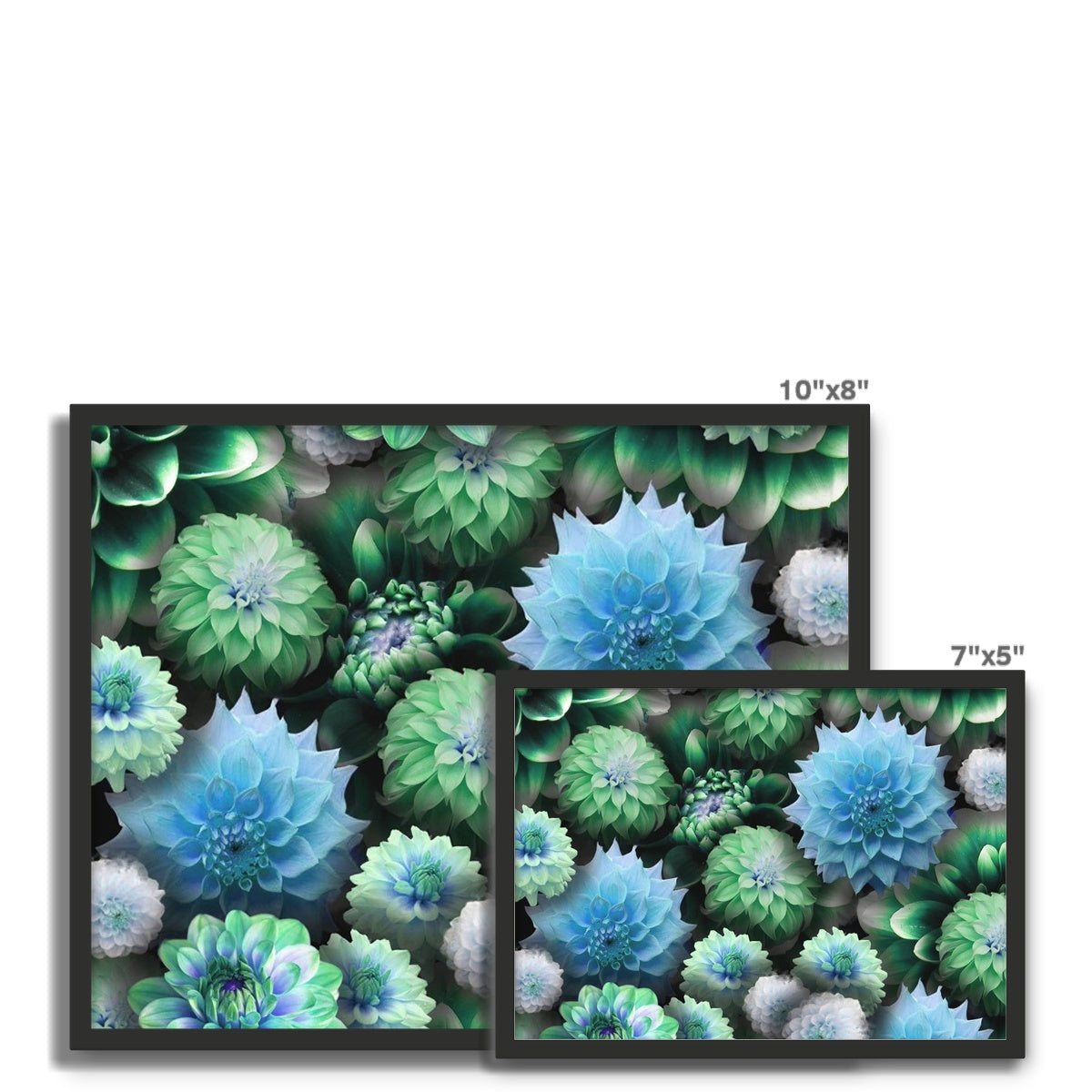 Blue Green Dahlias Framed Photo Tile