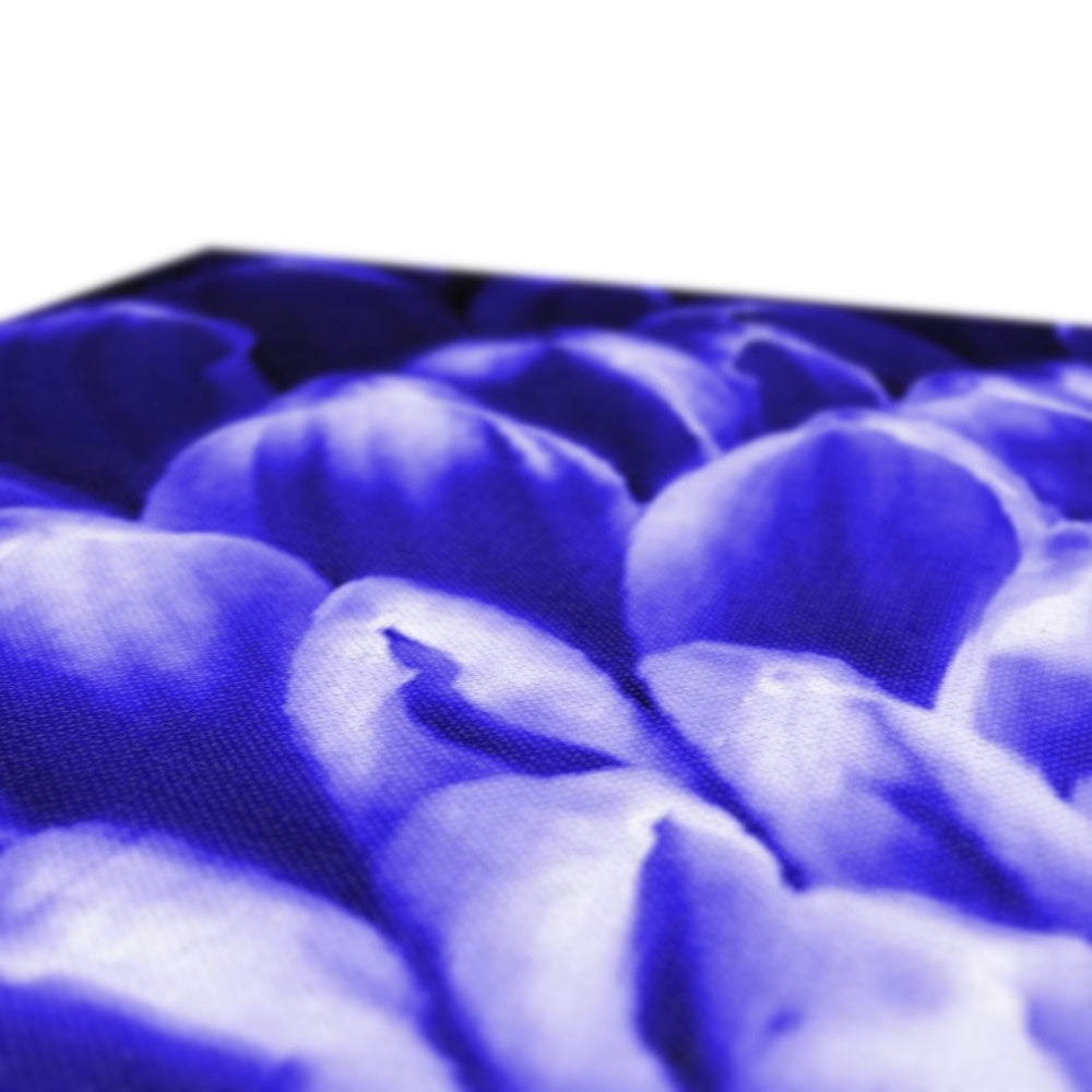 Blue Chrysanthemum Canvas