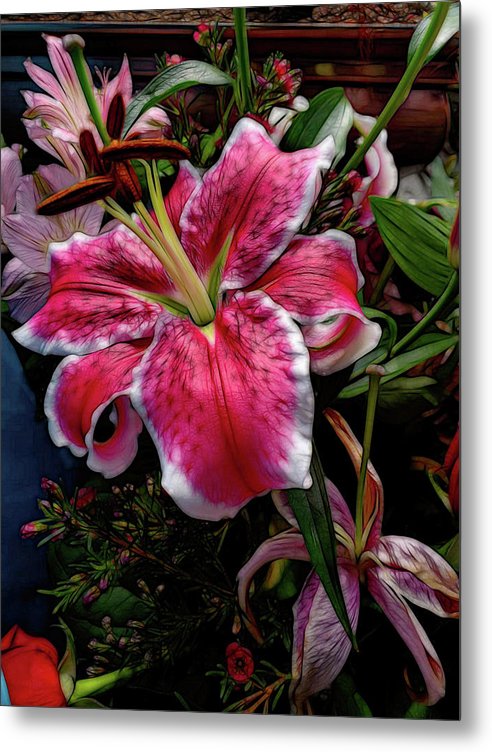 Big Petaled Pink and White Lily - Metal Print
