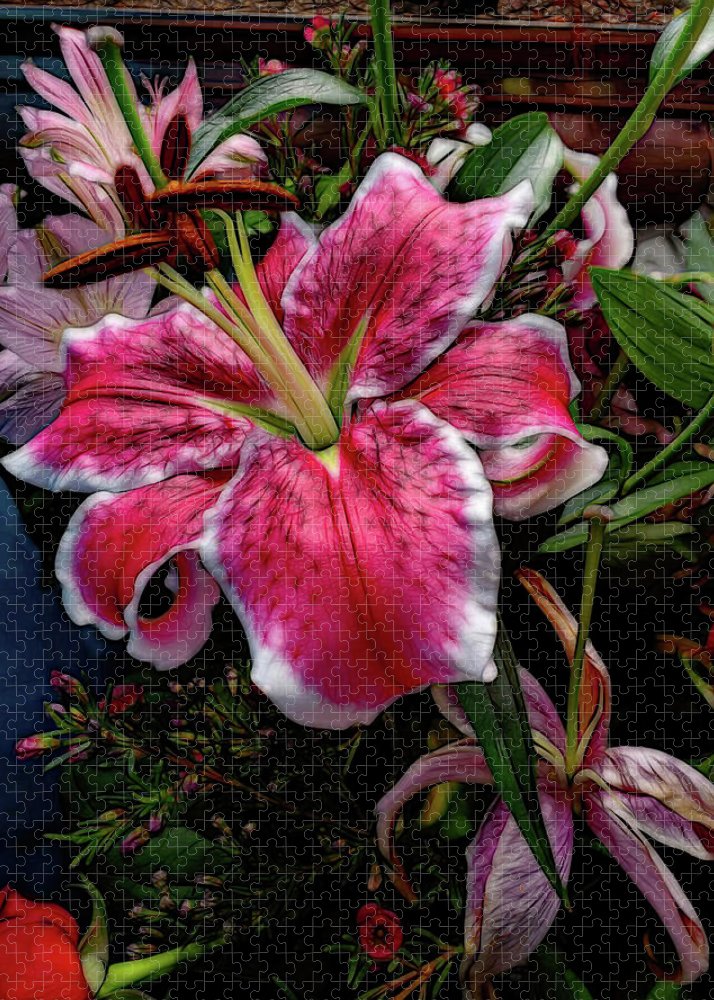 Big Petaled Pink and White Lily - Puzzle