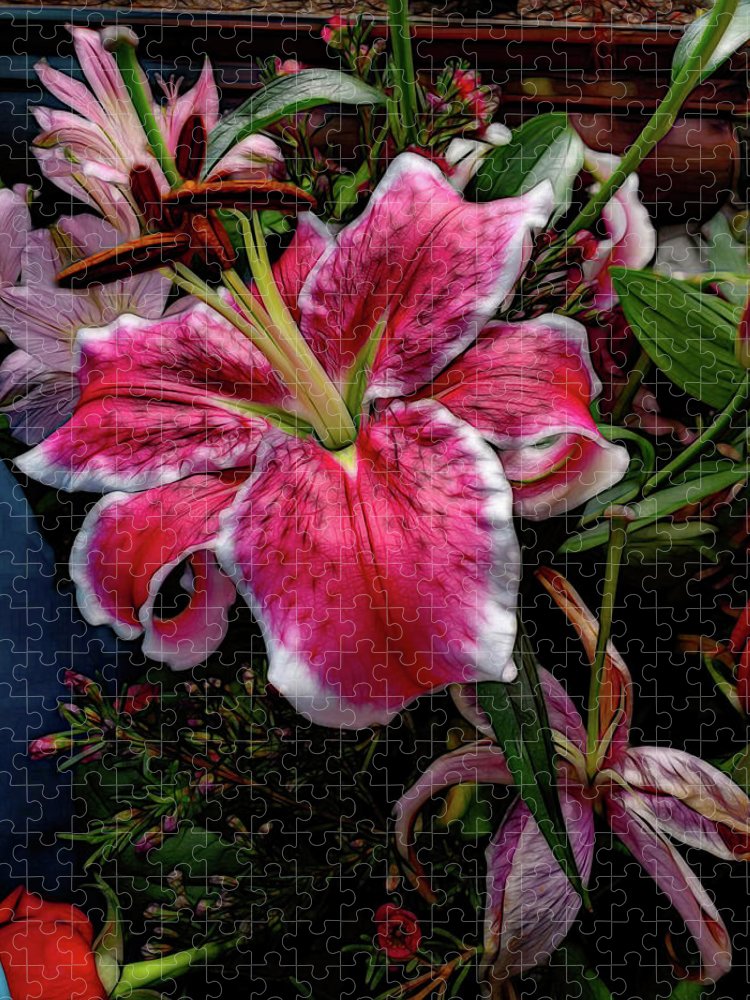 Big Petaled Pink and White Lily - Puzzle