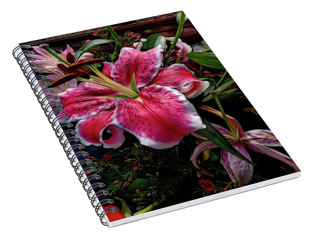 Big Petaled Pink and White Lily - Spiral Notebook