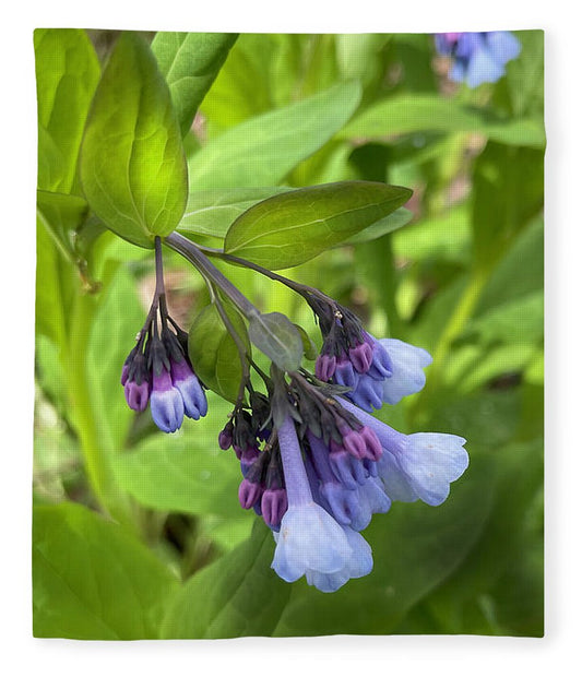 Blue and Purple April Wildflowers - Blanket