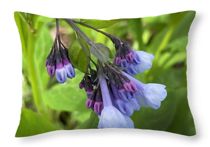 Blue and Purple April Wildflowers - Throw Pillow