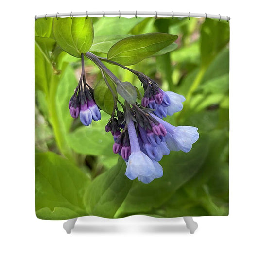 Blue and Purple April Wildflowers - Shower Curtain