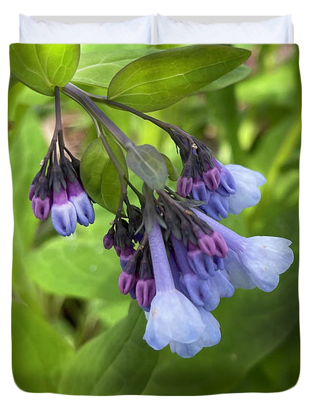 Blue and Purple April Wildflowers - Duvet Cover