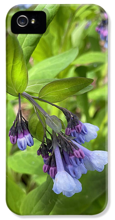Blue and Purple April Wildflowers - Phone Case