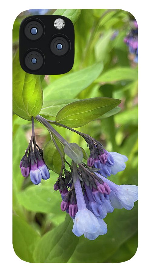 Blue and Purple April Wildflowers - Phone Case