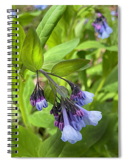 Blue and Purple April Wildflowers - Spiral Notebook