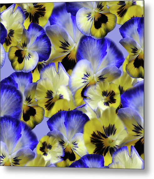 Blue and Yellow Pansies Collage - Metal Print