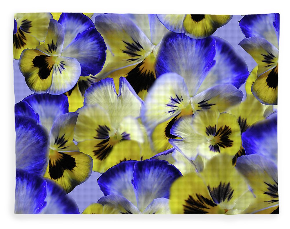 Blue and Yellow Pansies Collage - Blanket