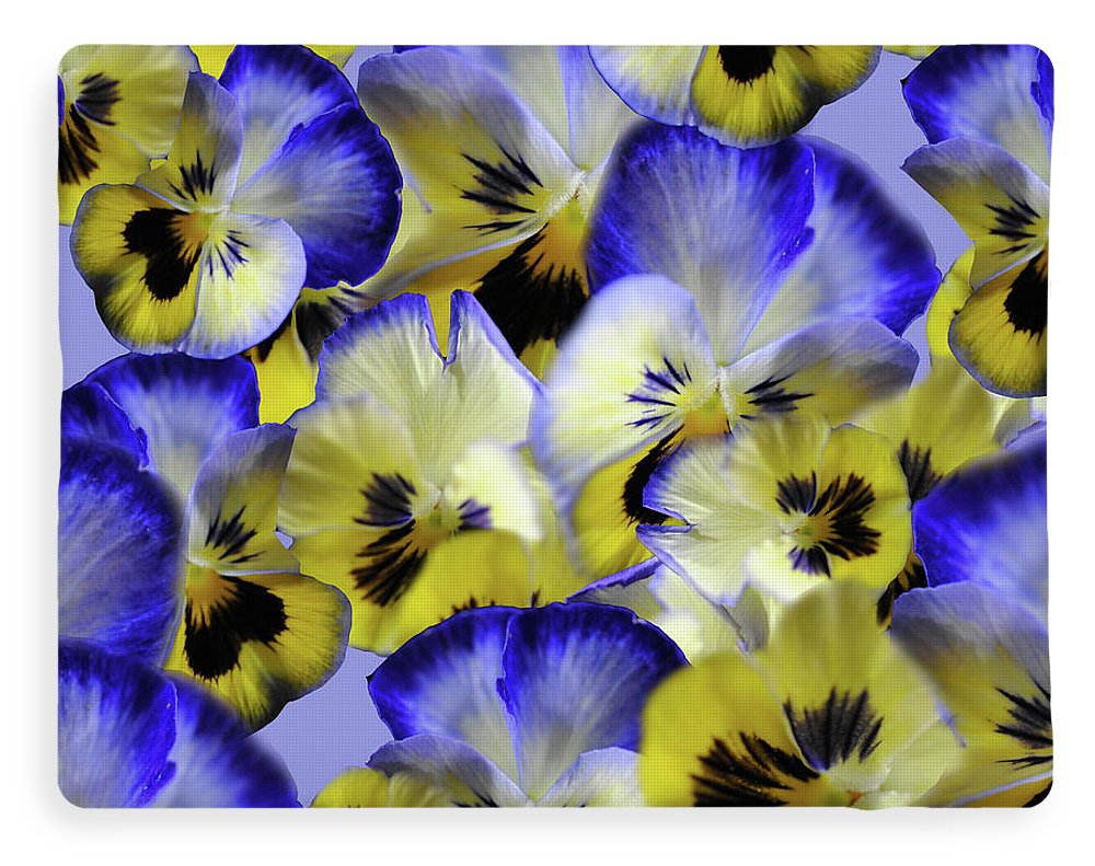 Blue and Yellow Pansies Collage - Blanket