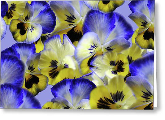 Blue and Yellow Pansies Collage - Greeting Card