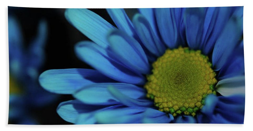 Blue Daisy - Bath Towel