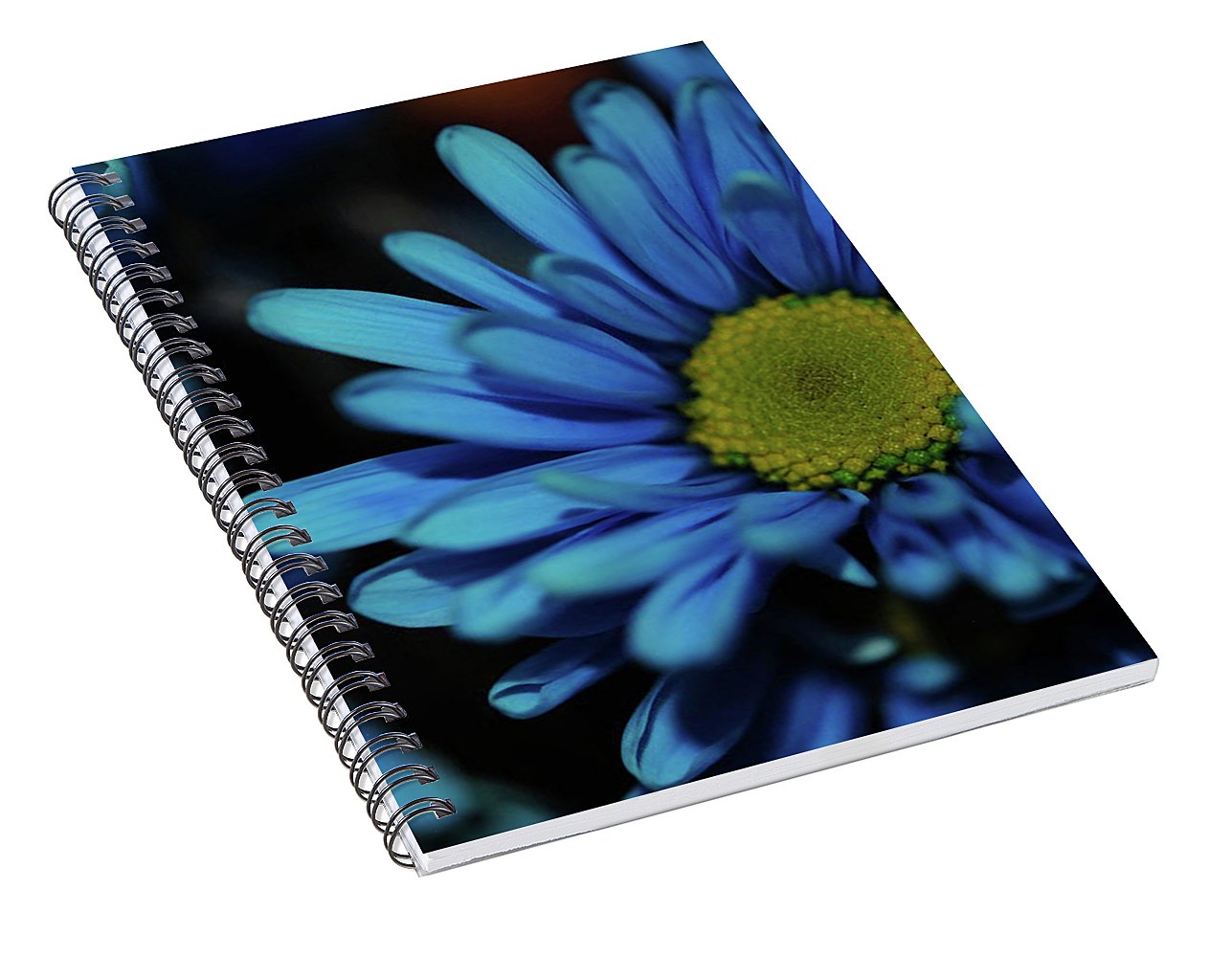 Blue Daisy - Spiral Notebook