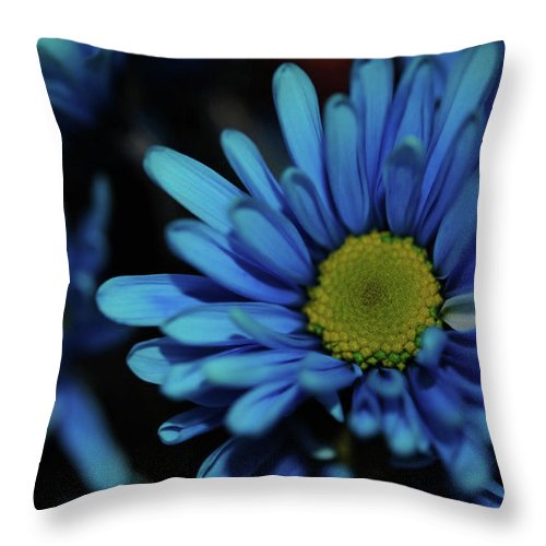 Blue Daisy - Throw Pillow