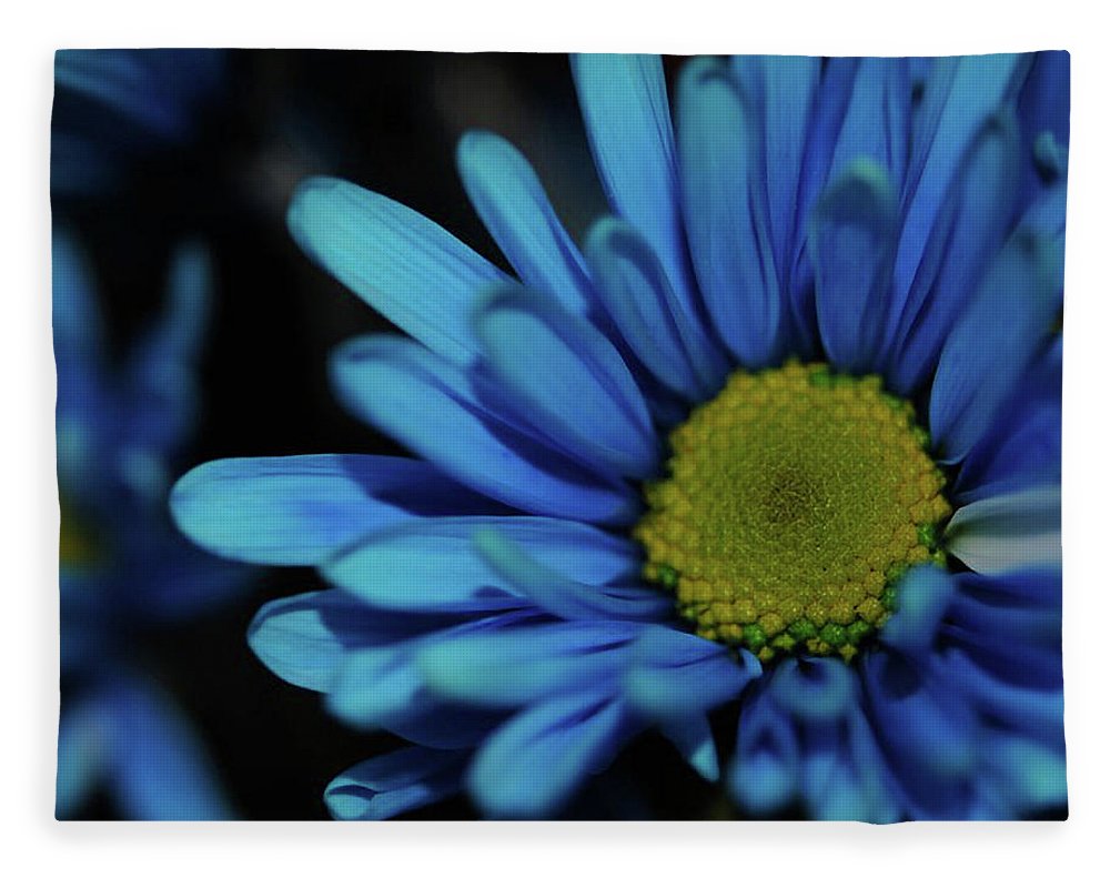 Blue Daisy - Blanket