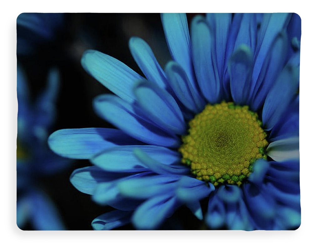 Blue Daisy - Blanket