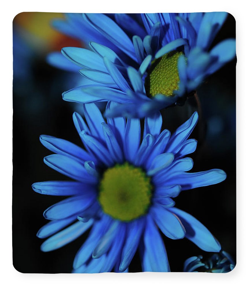 Blue Daisy Vertical - Blanket