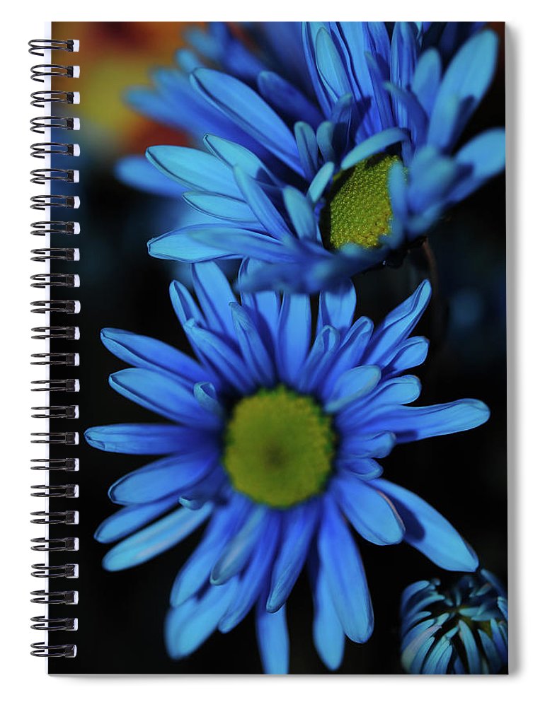 Blue Daisy Vertical - Spiral Notebook