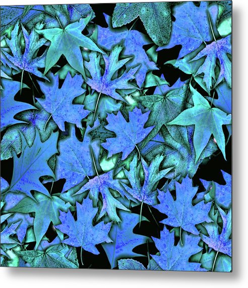 Blue Fall leaves - Metal Print