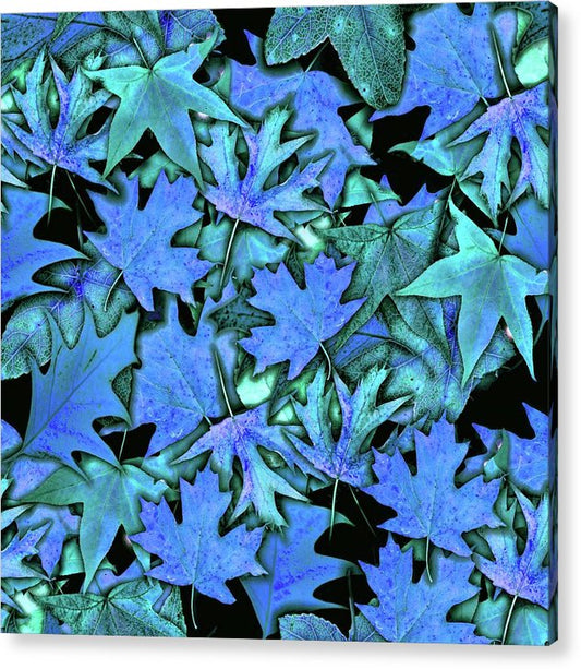 Blue Fall leaves - Acrylic Print