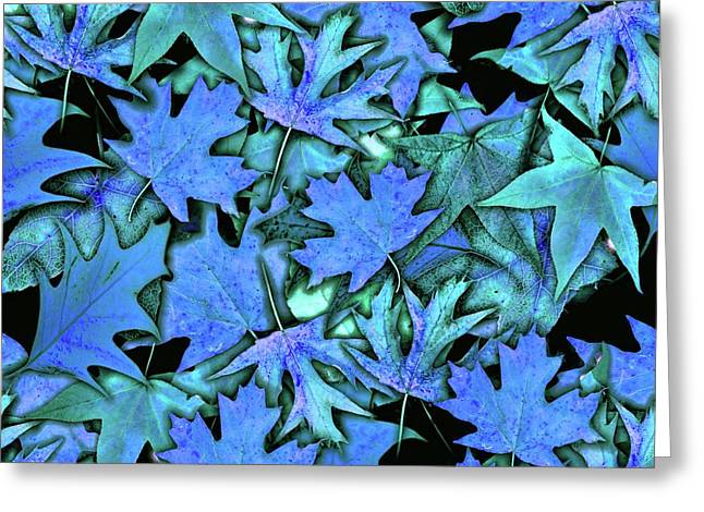 Blue Fall leaves - Greeting Card