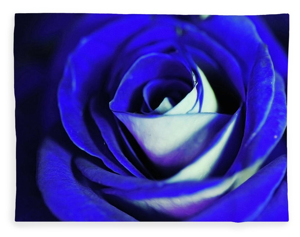 Blue Rose - Blanket