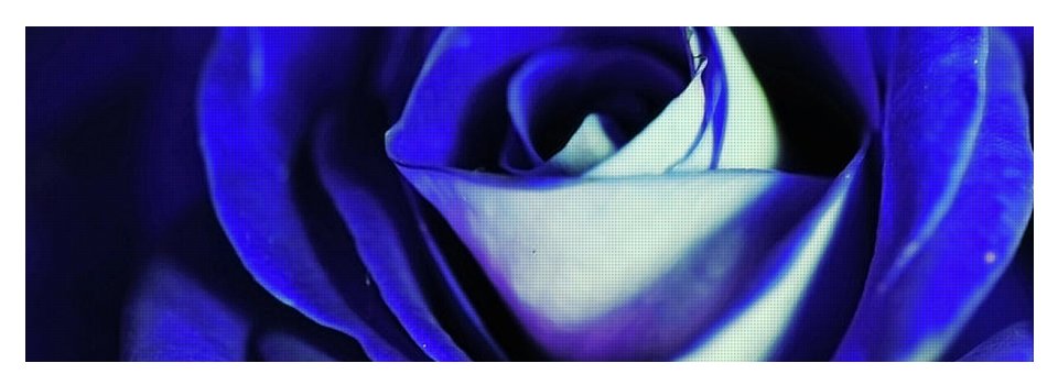 Blue Rose - Yoga Mat