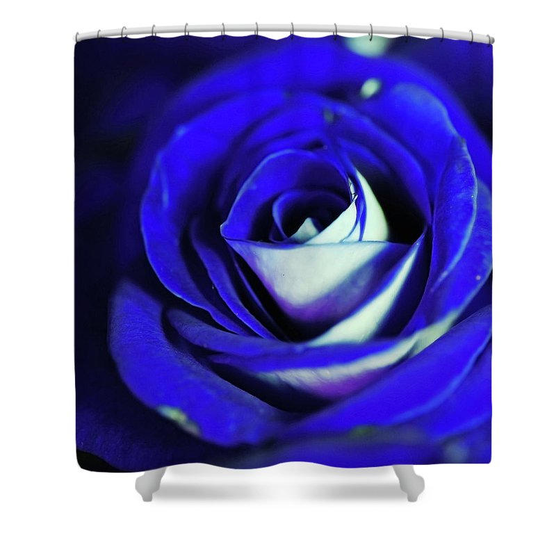 Blue Rose - Shower Curtain
