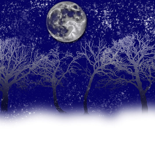 Blue Moon Snow Trees Digital Image Download