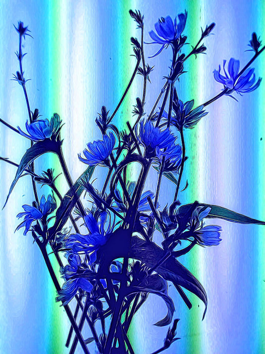 Blue Wildflowers With Backlight Digital Image Download