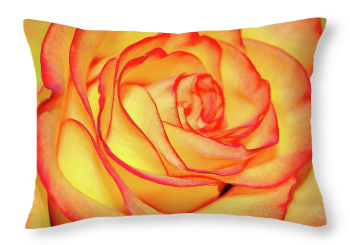 Bright Orange Rose - Throw Pillow