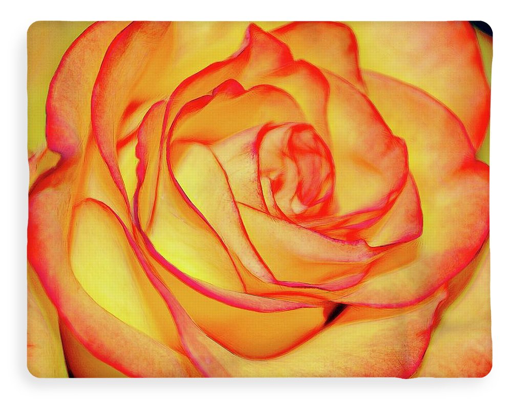 Bright Orange Rose - Blanket