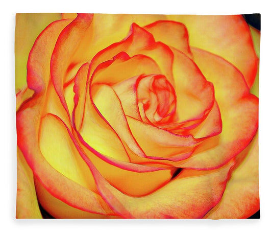 Bright Orange Rose - Blanket