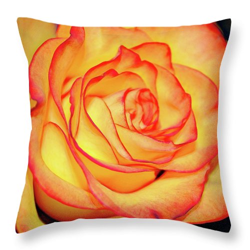 Bright Orange Rose - Throw Pillow