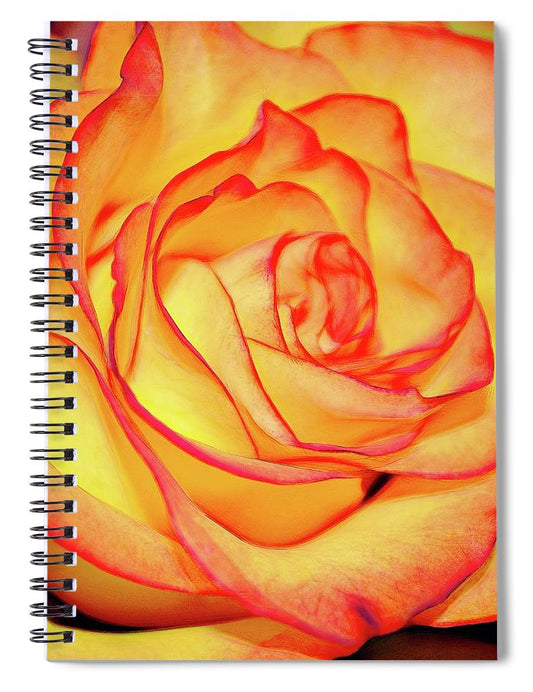 Bright Orange Rose - Spiral Notebook