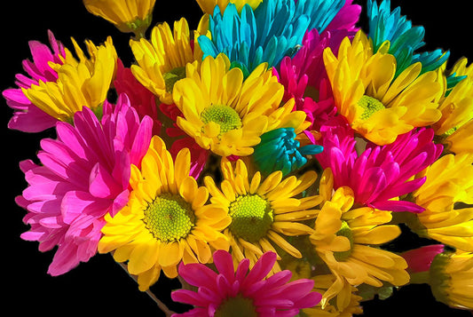 Bright Daisy Bouquet Digital Image Download
