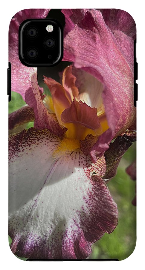 Burgundy iris - Phone Case