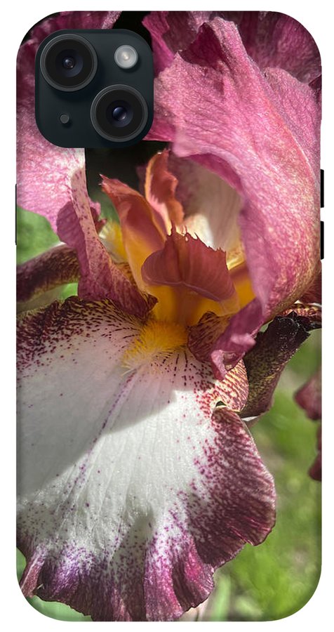 Burgundy iris - Phone Case