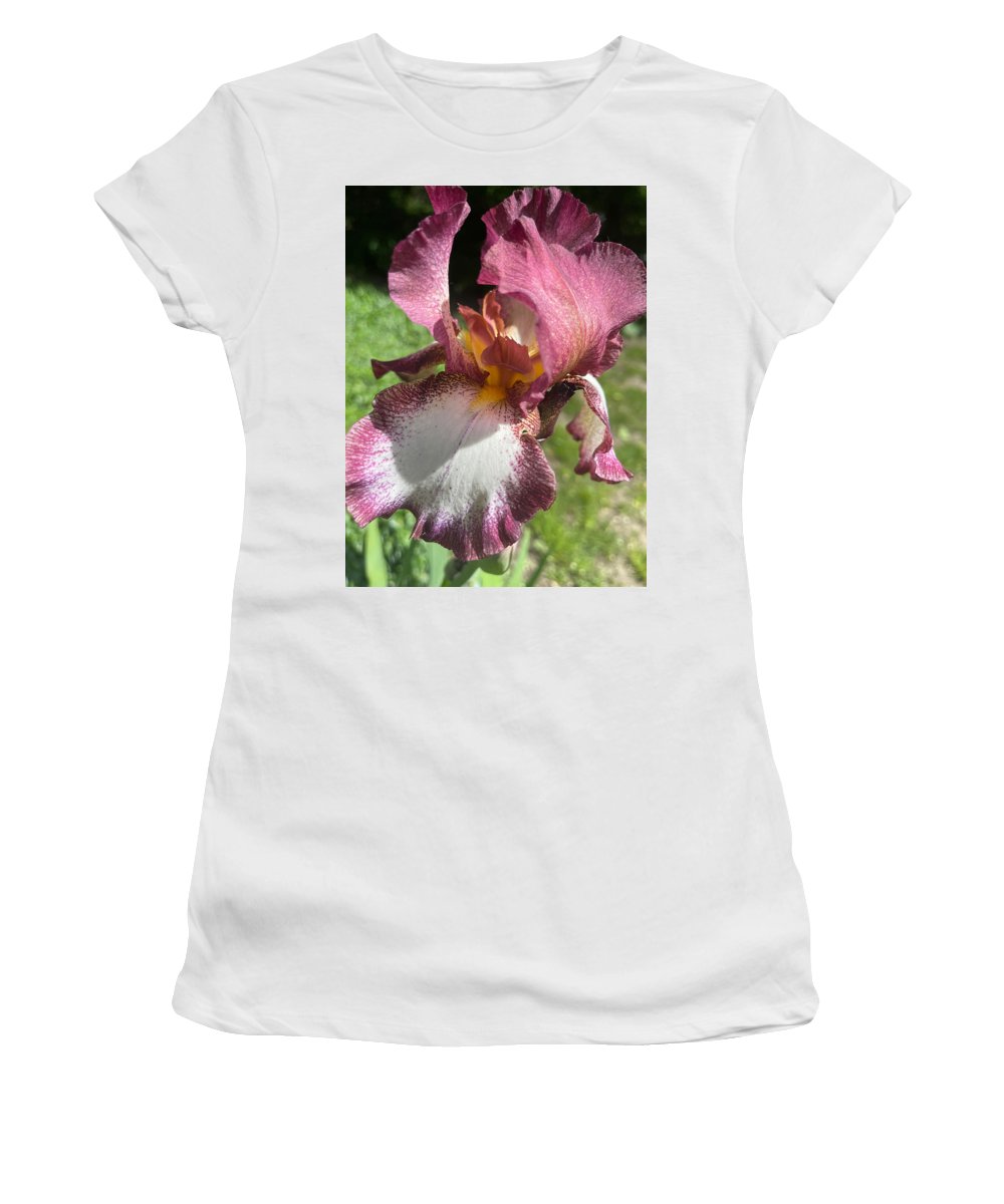 Burgundy iris - Women's T-Shirt